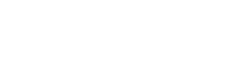 Digital Social Lab